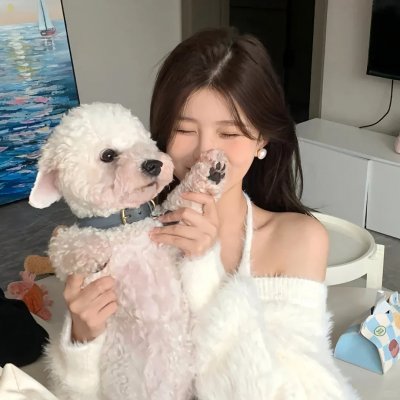 布朗克斯的故事